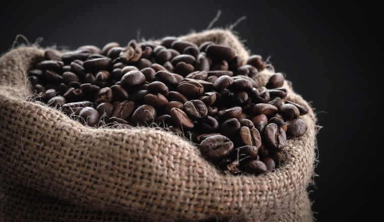 From Seed to Cup: Our Harvest Process